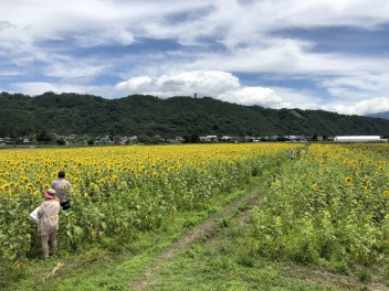 ご紹介に預かりました！